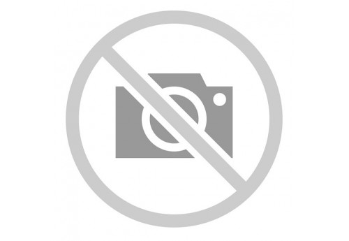 Кисть малярная 100 мм INGCO CHPTB78604