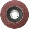 Диск шлифовальный лепестковый 115 мм INGCO FD1151